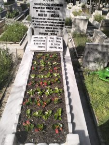 ankaramezarbakim-galeri-24-2 - Ankara mezar bakımı