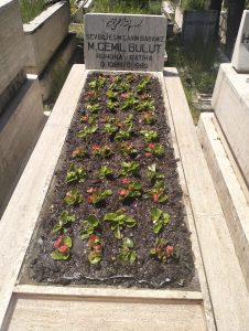 ankaramezarbakim-galeri-35-1 - Ankara mezar bakımı