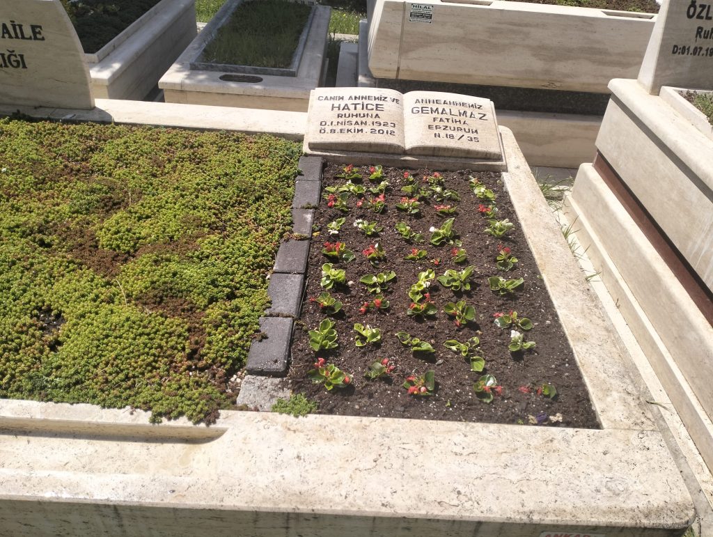 Çankaya Mezar Bakımı Ciceklendirme: Mevsimlik Secim - 06 Mezar Bakım