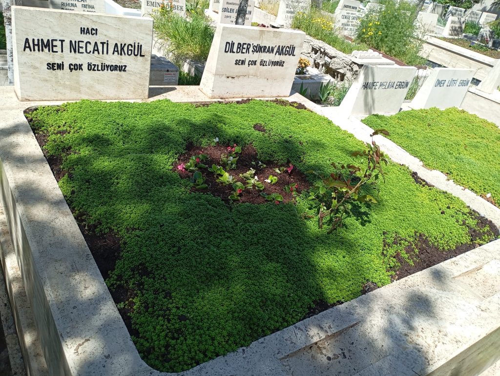 Ortaköy Mezarlığı Bakımı Mermer Temizligi: Yosun Giderimi - 06 Mezar Bakım